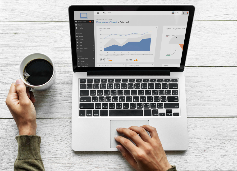 Tráfego Pago: Estratégias para Acelerar Vendas Online 5 trafego site